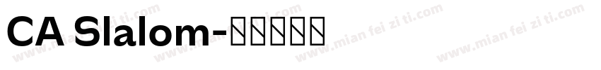 CA Slalom字体转换